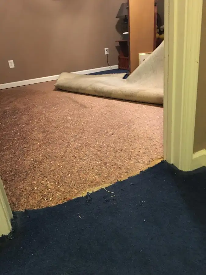 Carpet pad removal revealing water damage during Water Mitigation Services in Bronxville