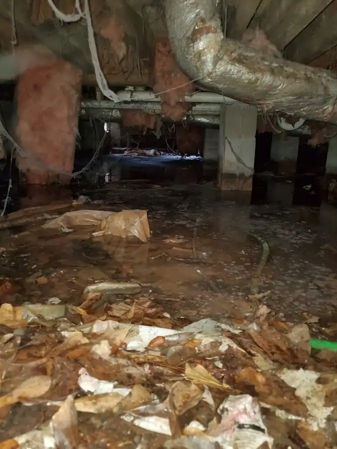 Crawl space flood assessment for Commercial Water Damage Restoration in Bronxville